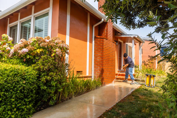 Deck Cleaning Services in Thompson, ND