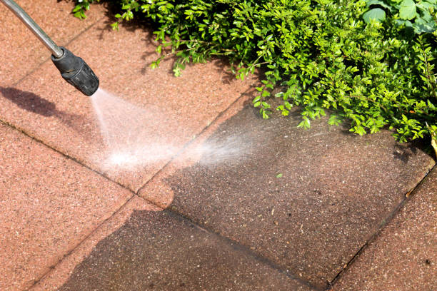 Best Residential Pressure Washing Services  in Thompson, ND