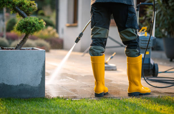 Best Residential Pressure Washing Services  in Thompson, ND